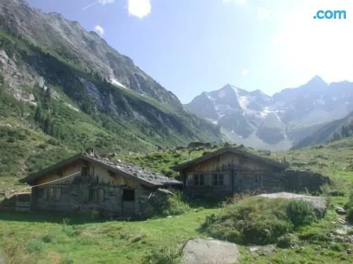 Fernblick