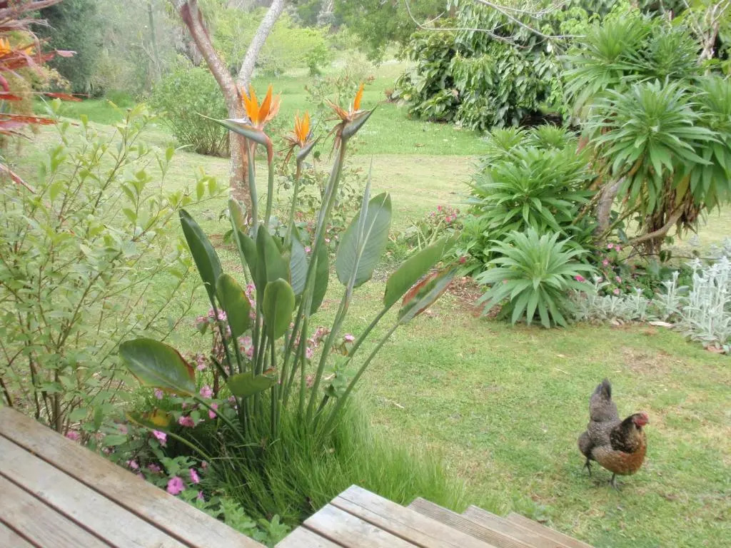 Wharepuke Subtropical Accommodation
