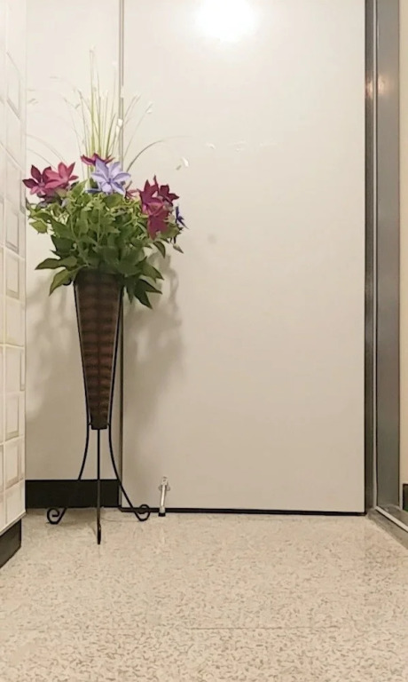 Coco Capsule Guesthouse - Hostel