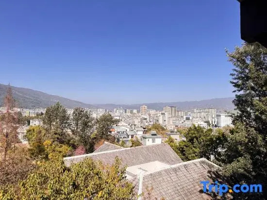 Tianyi Tea Homestay