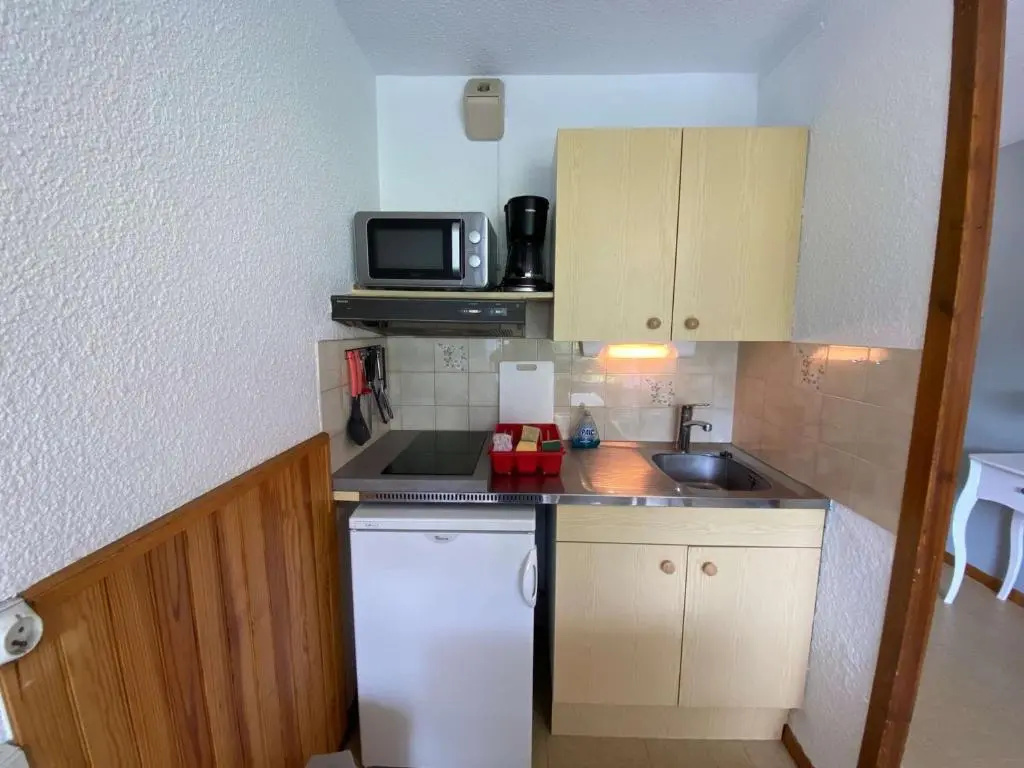 Appartement Le Grand-Bornand, 1 pièce, 4 personnes - FR-1-241-19