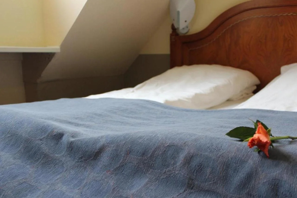 Hotel Aarslev Kro