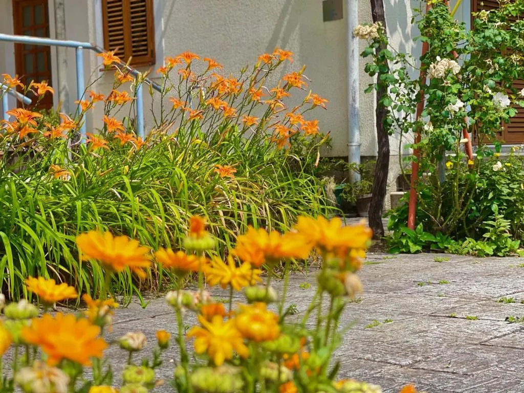 Garden House Budva