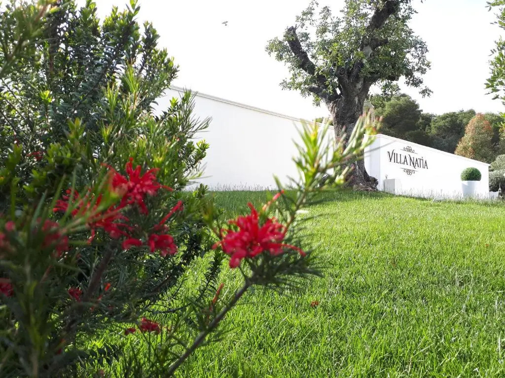 Villa Natia