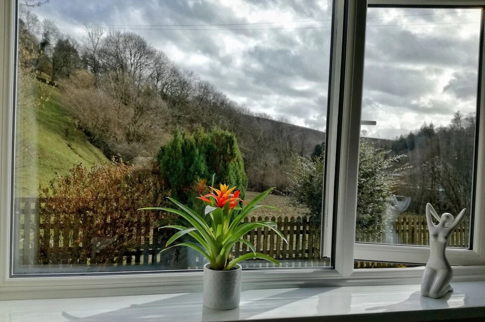 Neuadd Wen Country Guest House