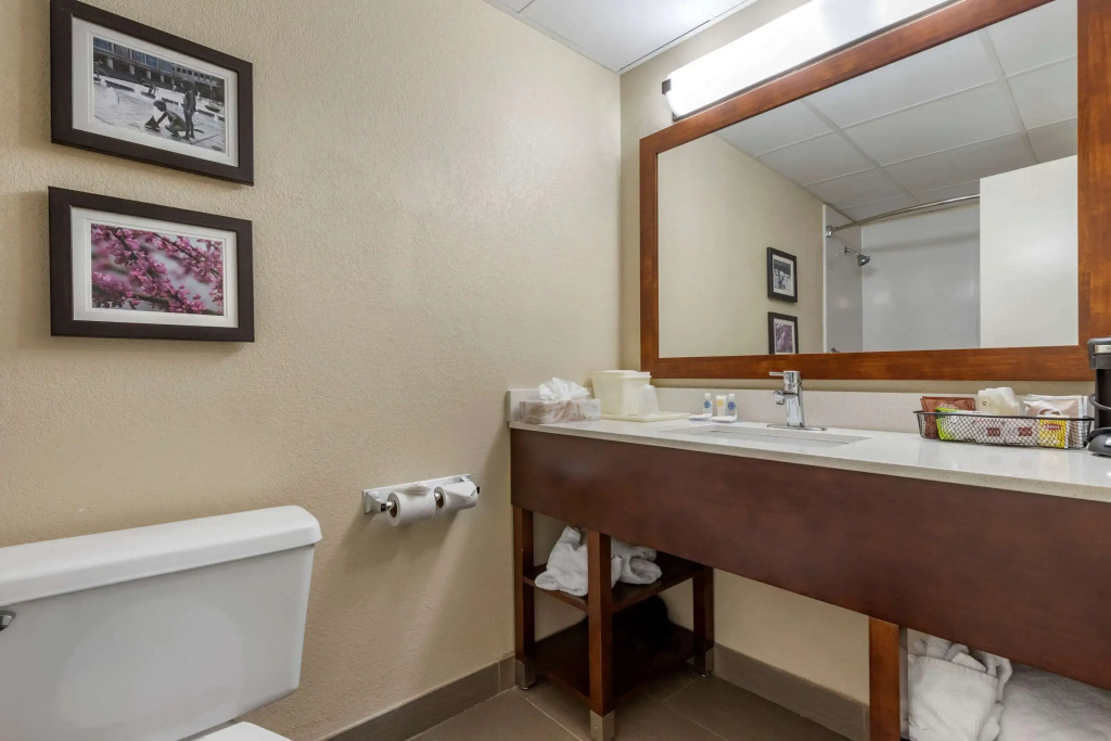 Comfort Inn Charlotte Airport Uptown