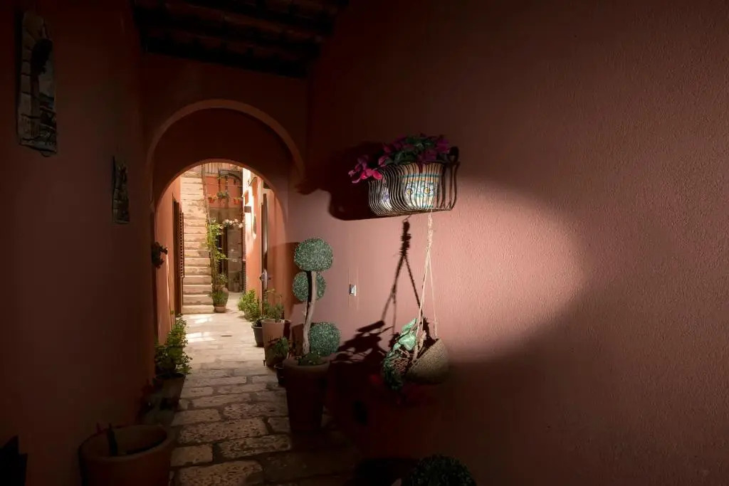 The Flowery Courtyard Srl No12