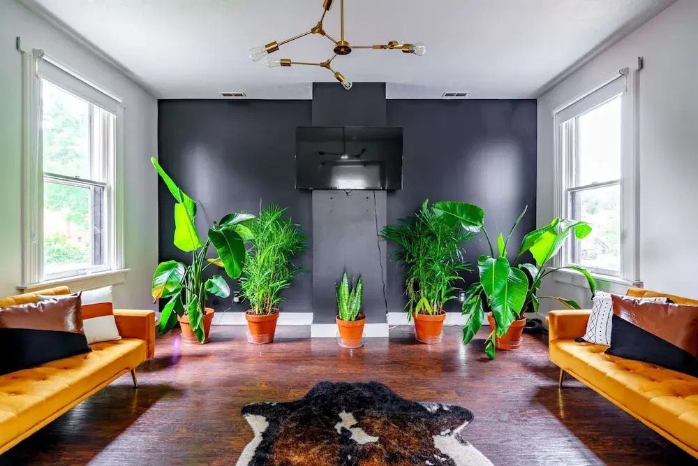 NEW Luxe Pet Friendly Free Parking Downtown