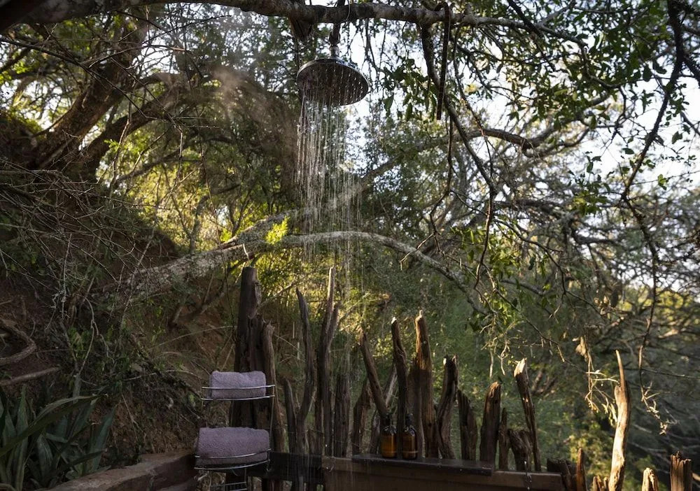 Stargazer Camp - Bellevue Forest Reserve