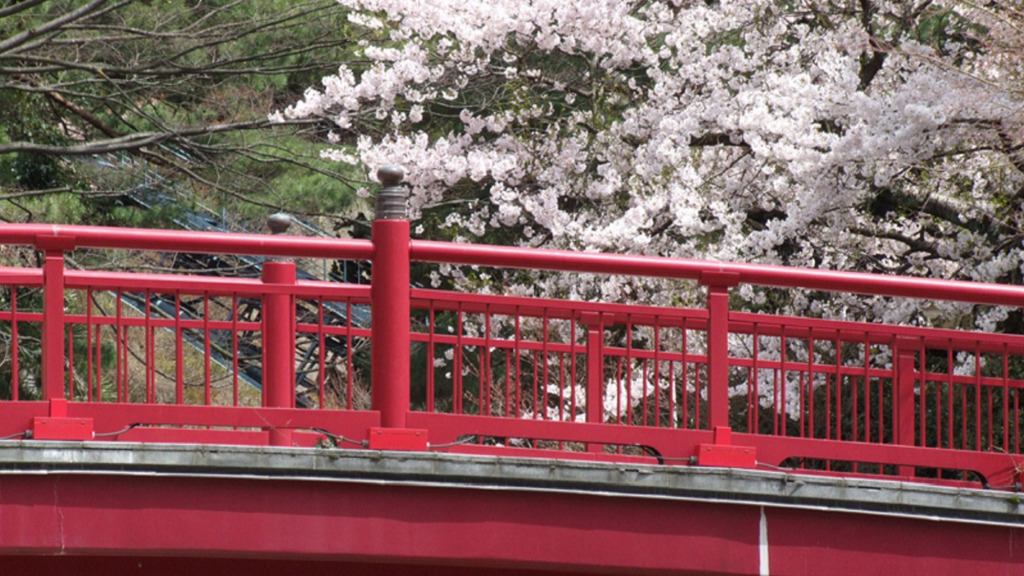 Maple Arima