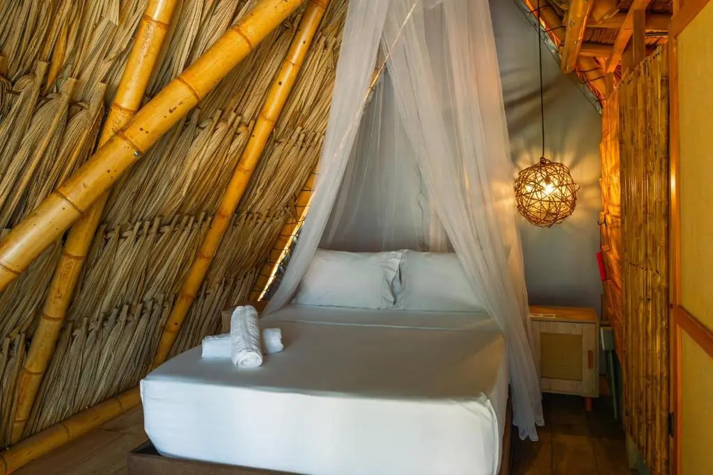 Traveler Hostel