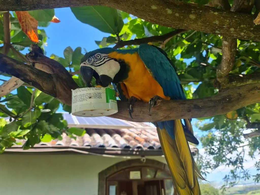 POUSADA NOSSA SENHORA