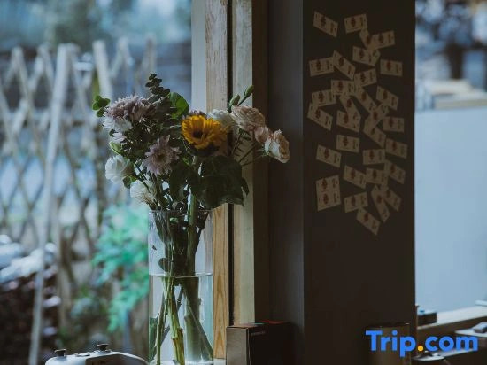 Yue Shan Yunshang · Anji Yunshang Caoyuan Tent Boutique Stay (Xiongmao Buluo Tanxian Leyuan)
