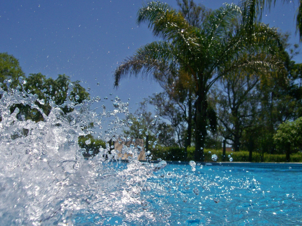 Los Robles