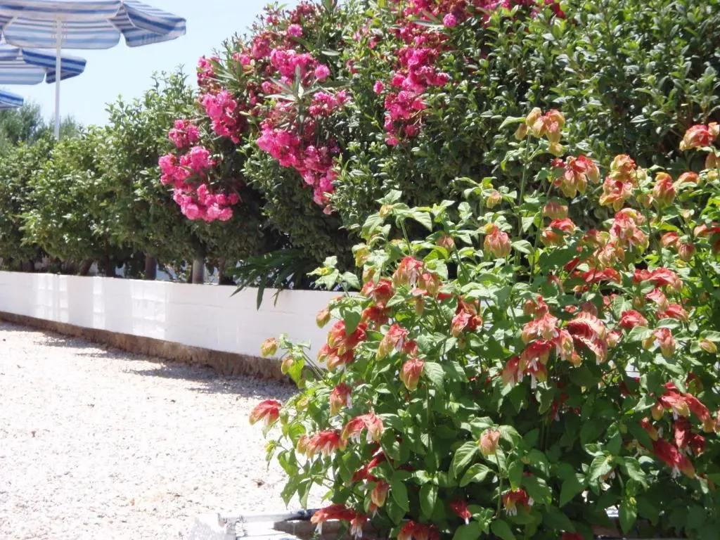 Villas Michalis