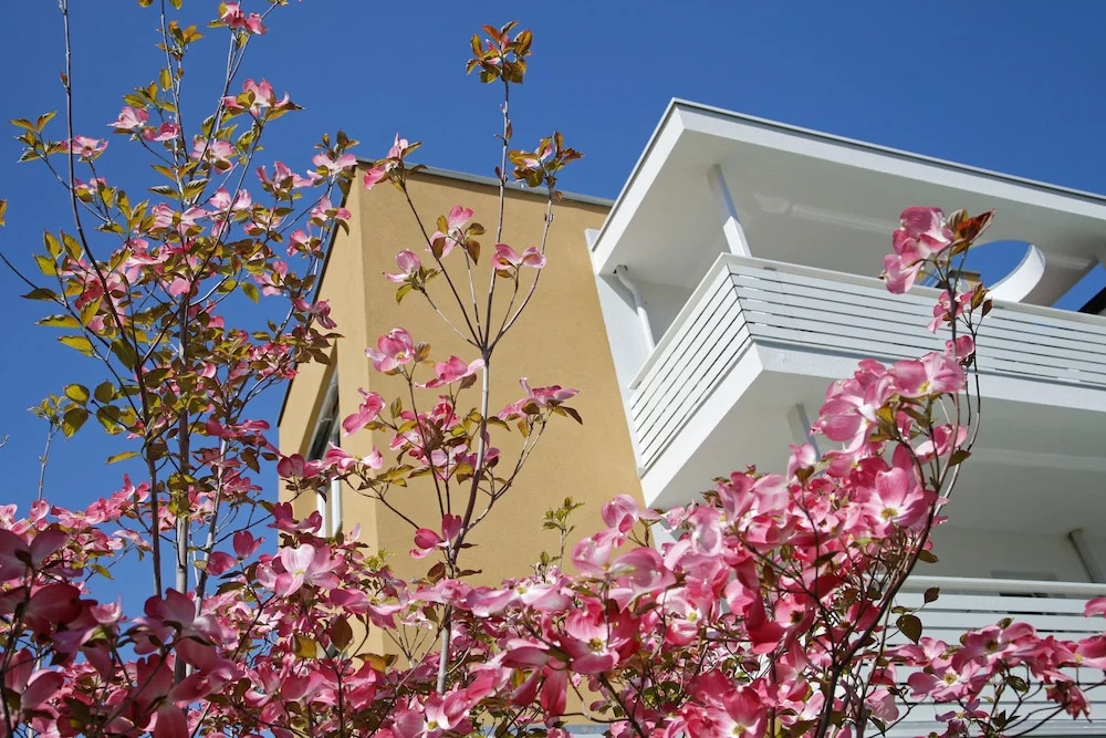 Hotel Jardis