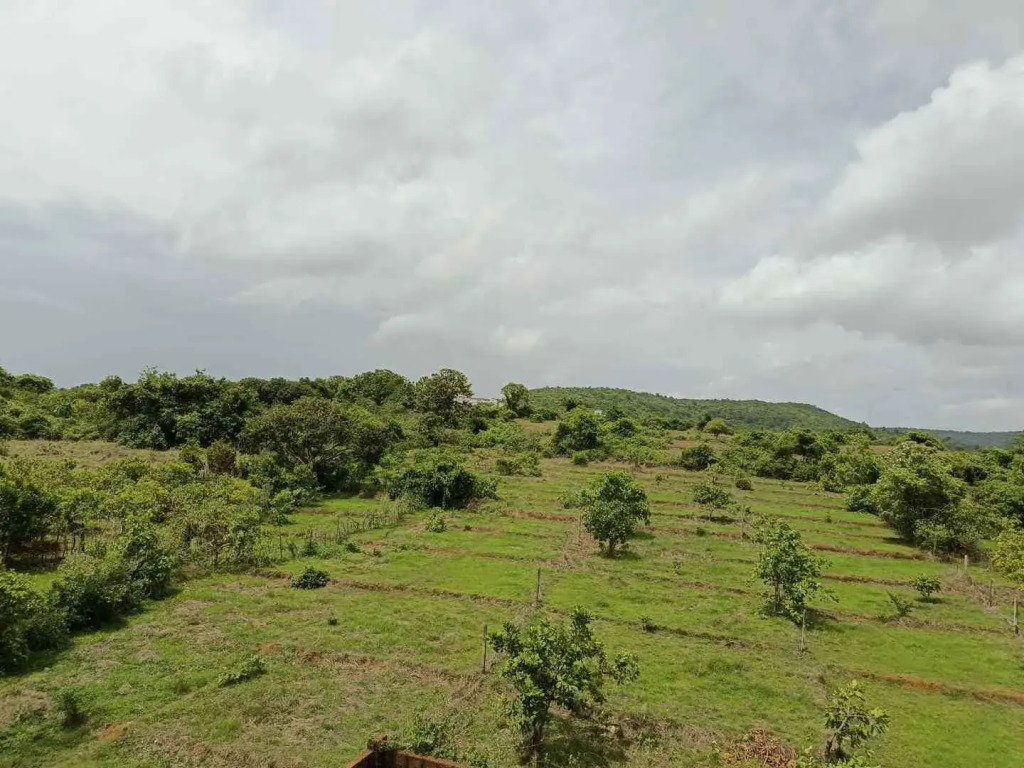 Arambol Paradise By Pss Properties