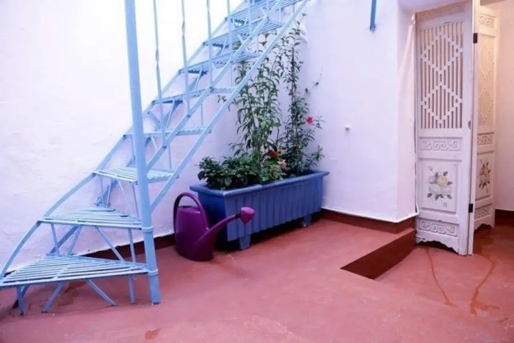Chameleon Youth Hostel - Hostel