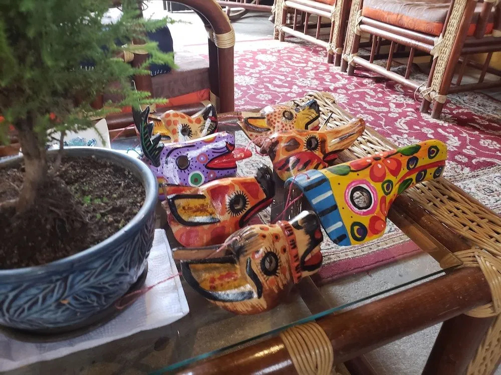 Parrot House
