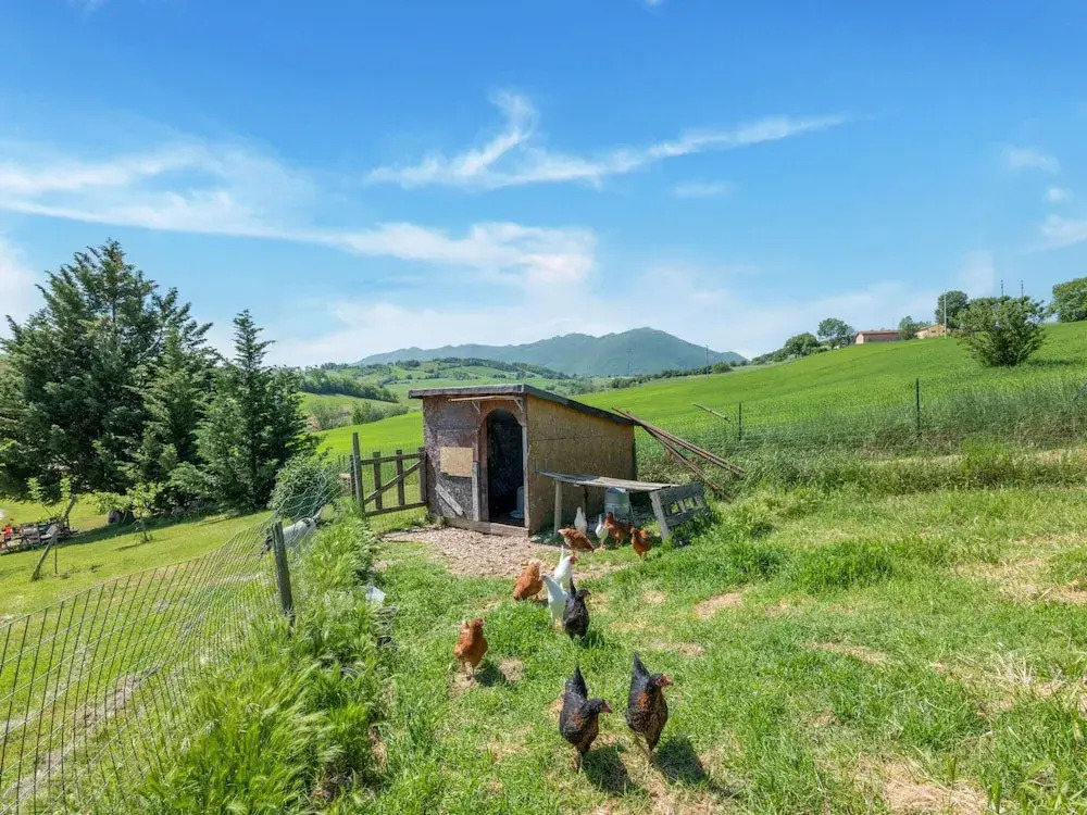Country Escape in Matelica