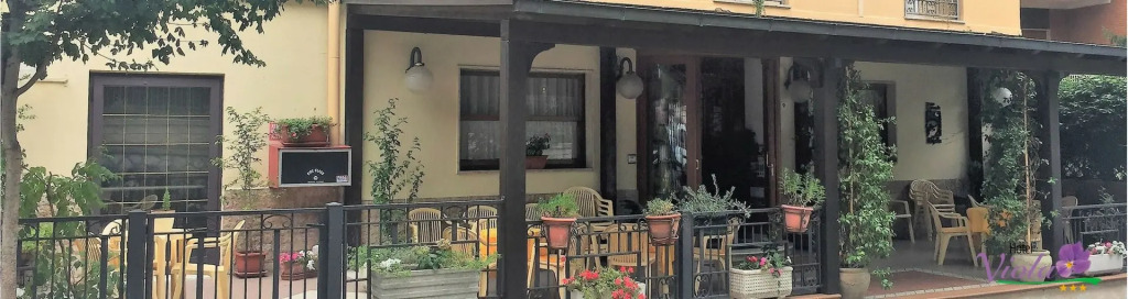 Hotel Viola