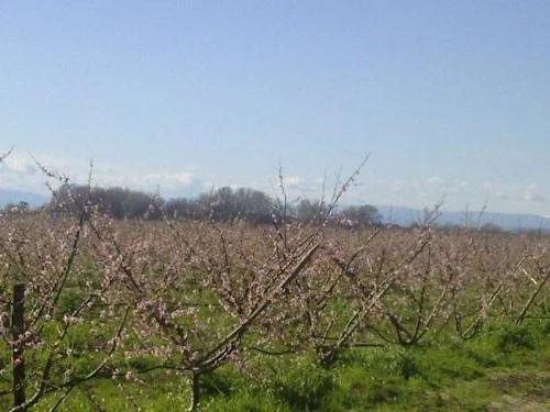 Agriturismo La Casa Di Botro