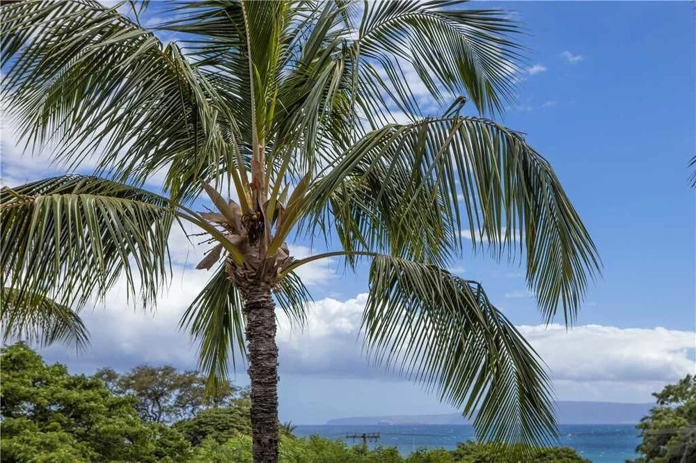 Maui Vista 3202