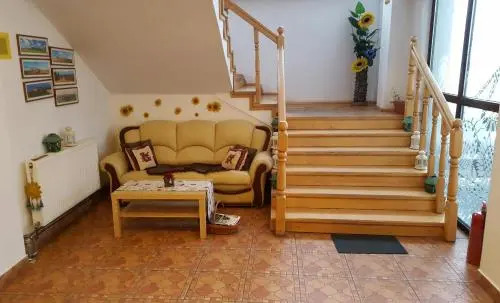 Floarea Soarelui