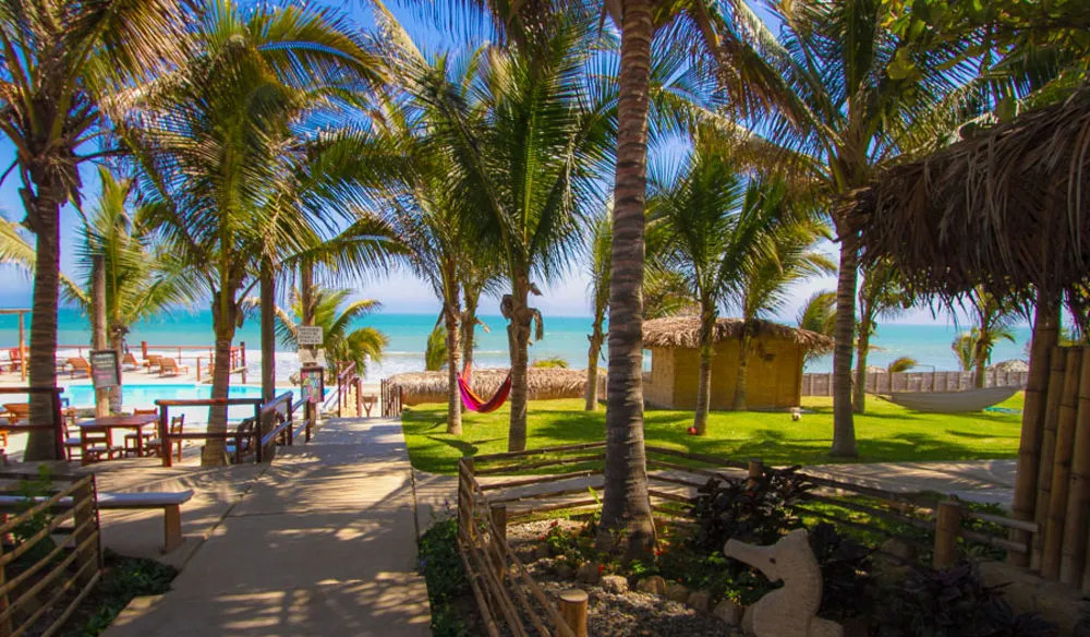Hotel Playa Palmeras
