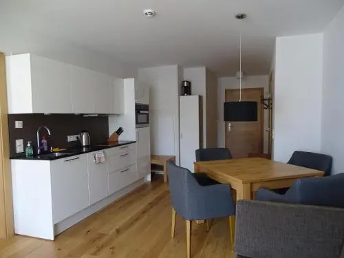 Modern ski-in apartment 2020m Kühtai