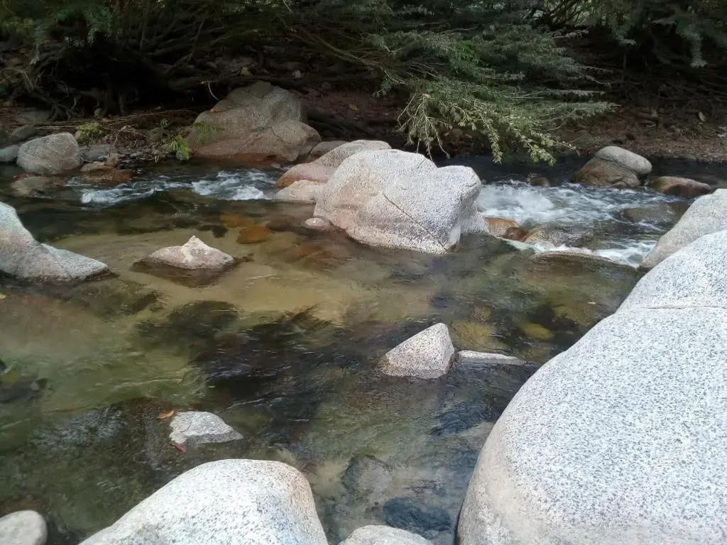 Tayrona Deep Forest Posadas