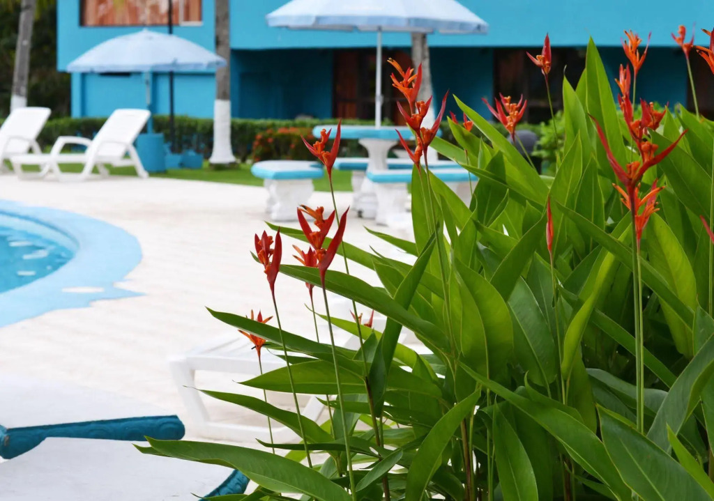 Beach Break Resort