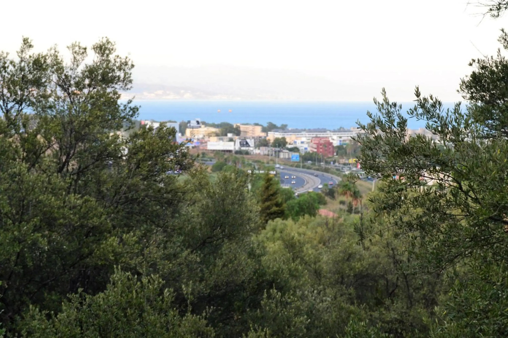 Suite Estudio Montaña