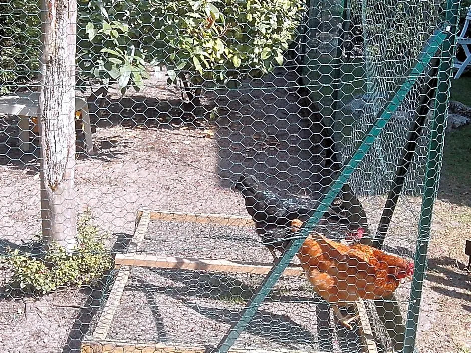 L'Orangine