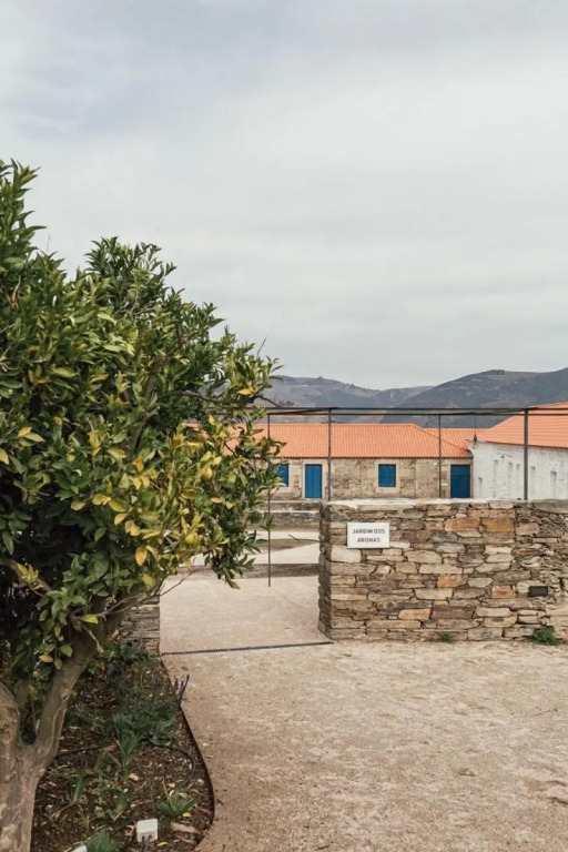 Ventozelo Hotel & Quinta