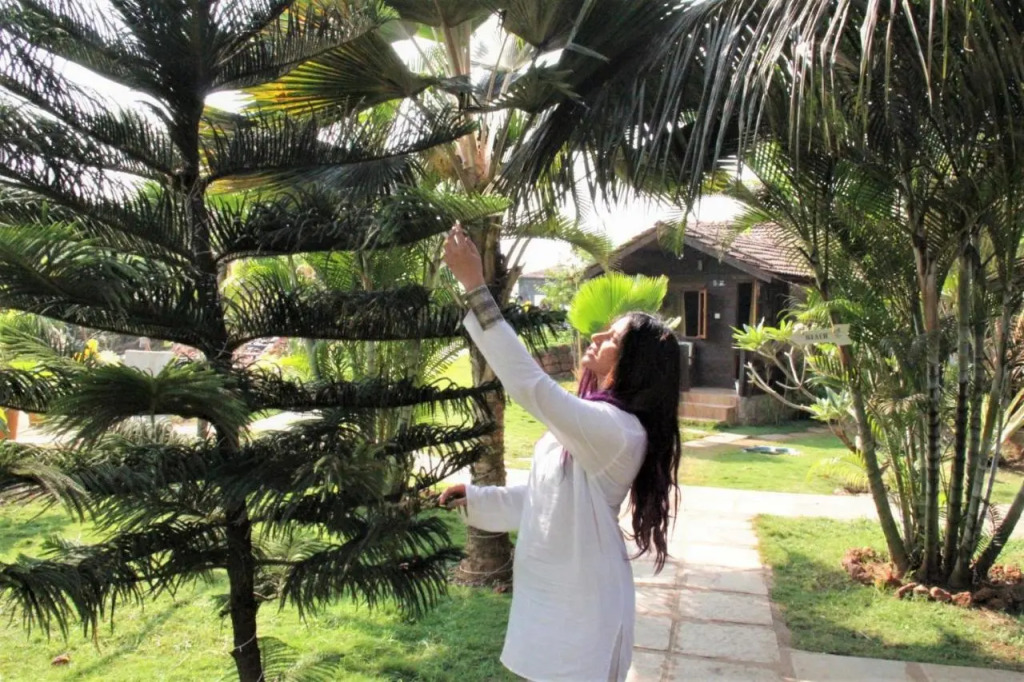 Lotus Sutra Beachfront Resort