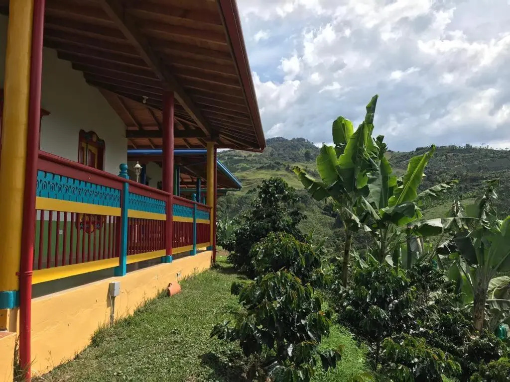 Cabaña Filo de Oro, jardín