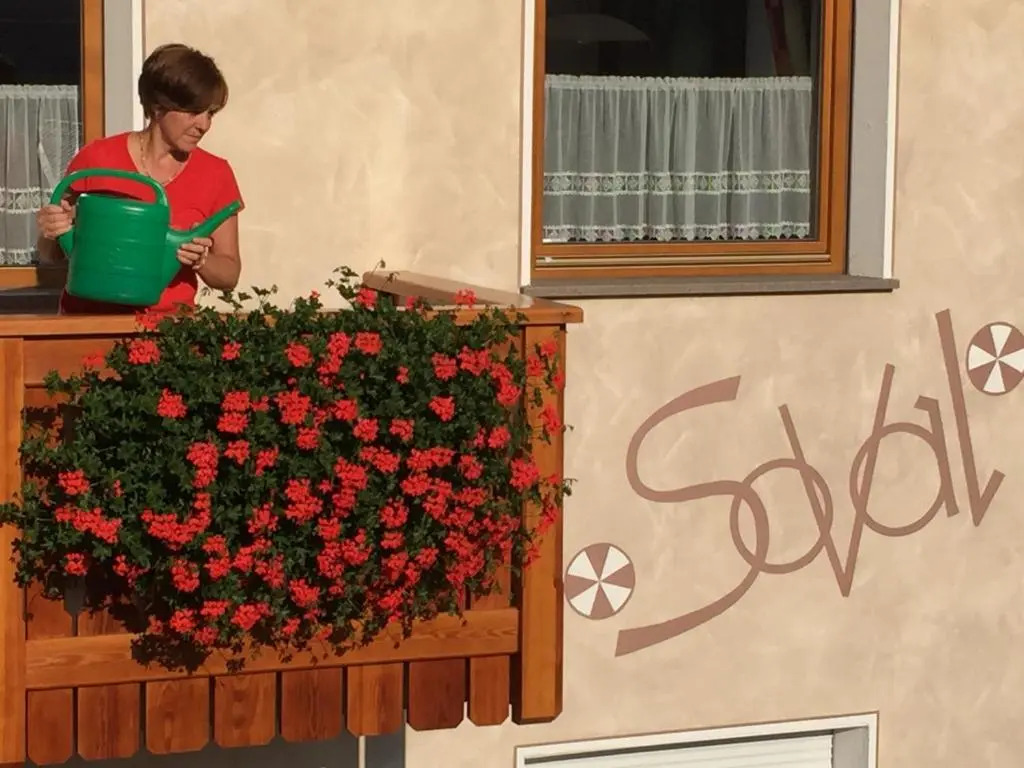 Apartments Soval