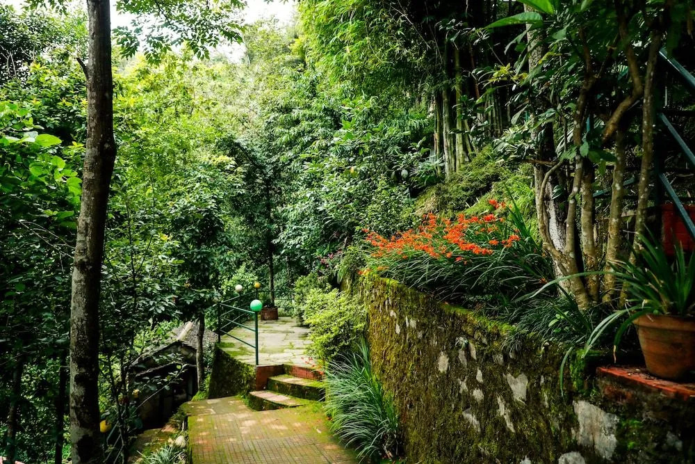 National Mount View Resort Pvt Ltd