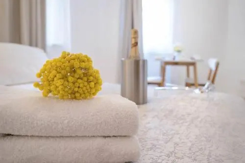Studio Apartments Petar in old part of town