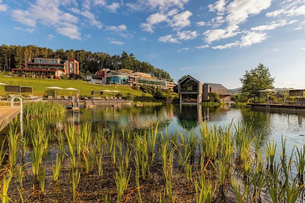 Pfalzblick Wald Spa Resort