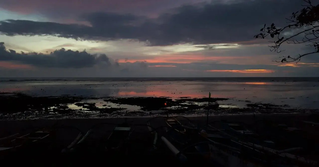 The Reef 077