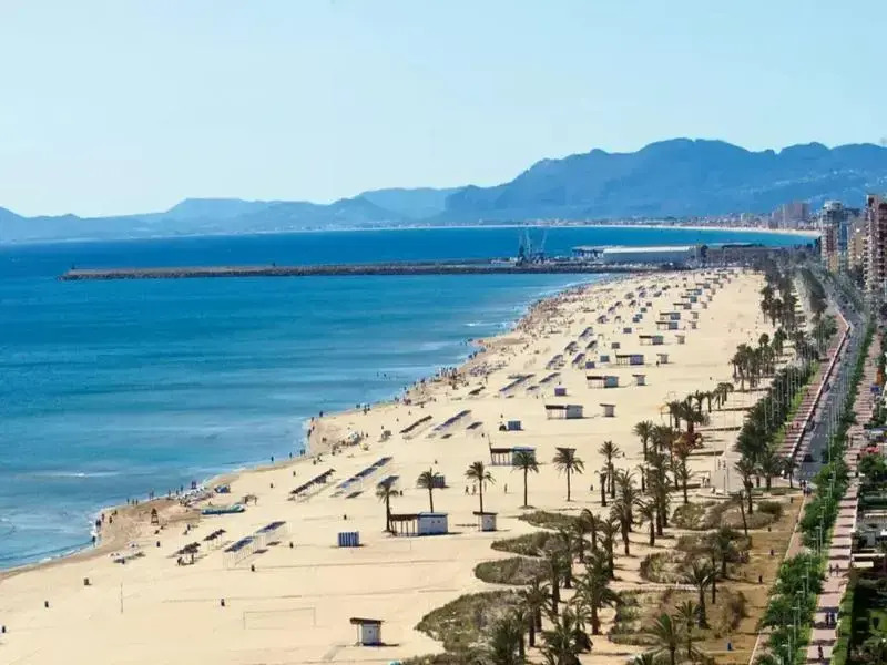 Apartamentos Gandia Familiar 3000