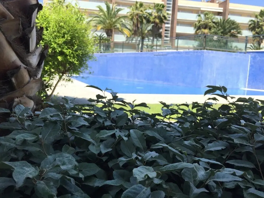 Apartamento Aqquaria Bajo Premium II