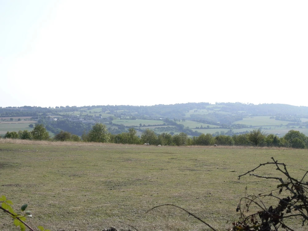 les Miquelots