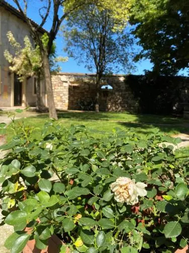 Villa Broglia House