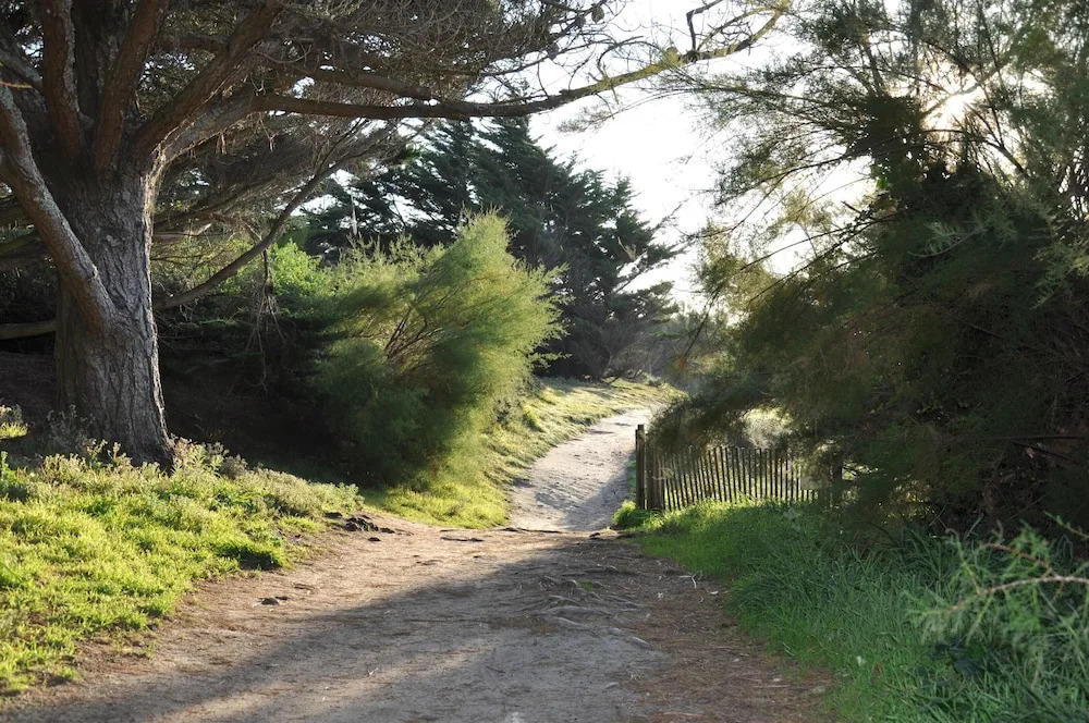 Apartment With One Bedroom In Fouesnant With Wonderful Sea View 50 M From The Beach