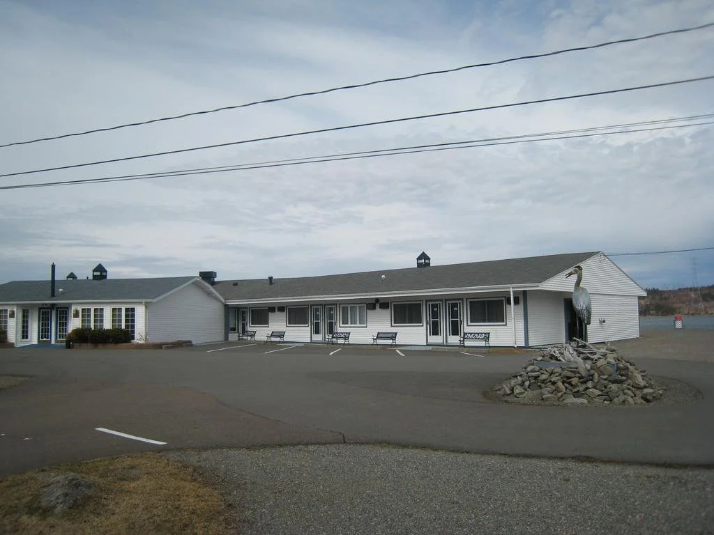 The Cove