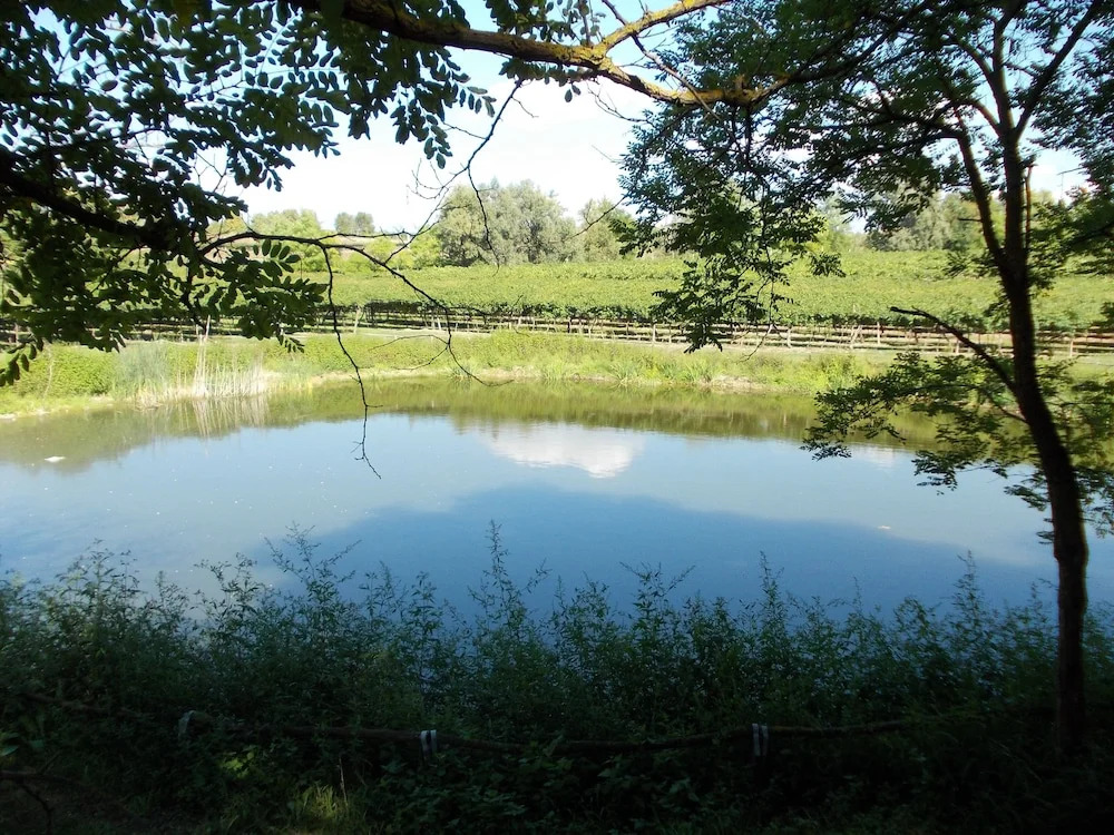Agriturismo Ca Vecia