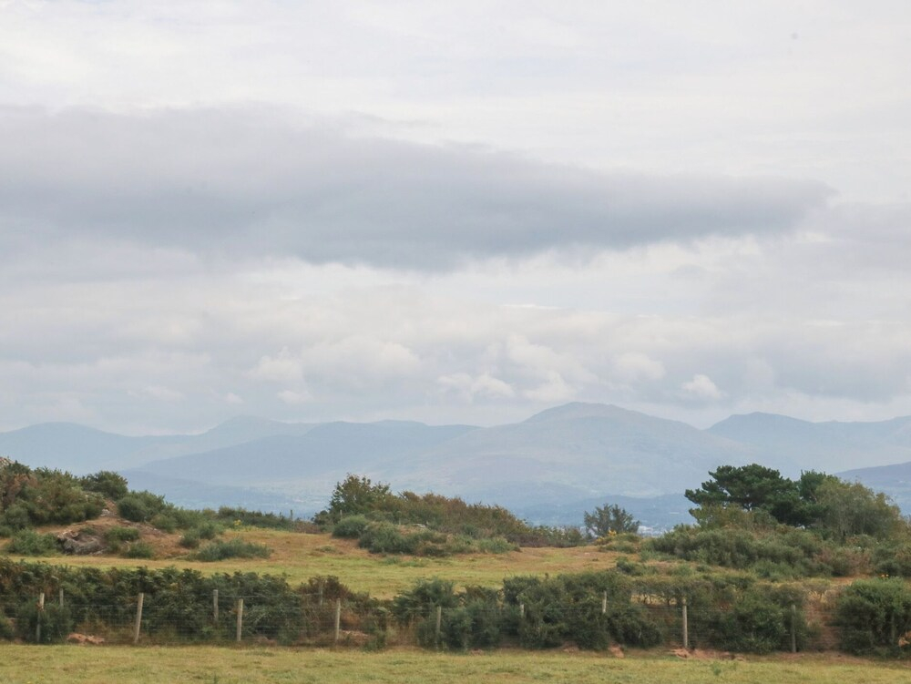 Tir Mawr